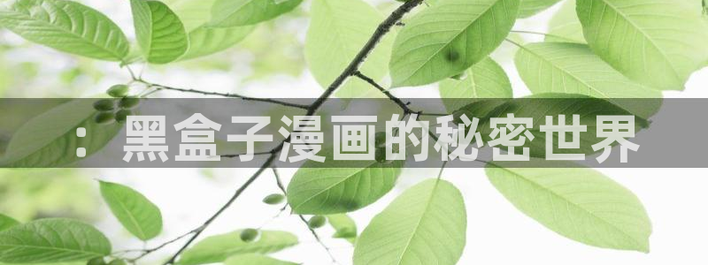 歪歪漫画全部免费