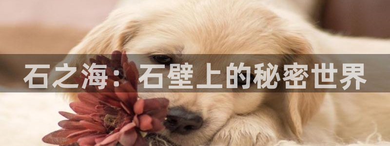 歪歪漫画在线,