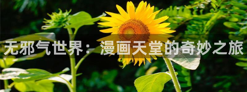 歪歪漫画网上