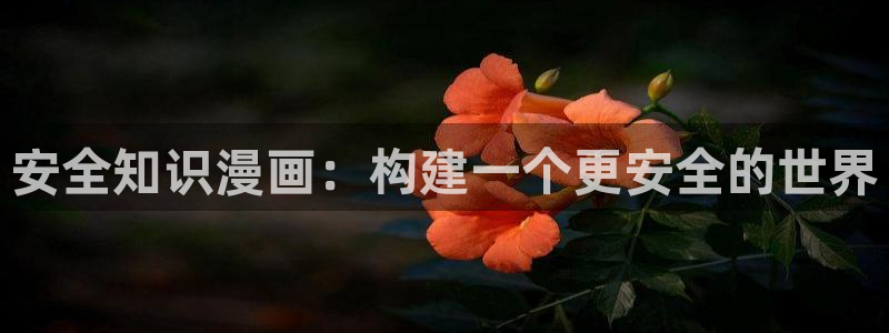 歪歪漫画 韩国：安全知识漫画：构建一个更安全的世界
