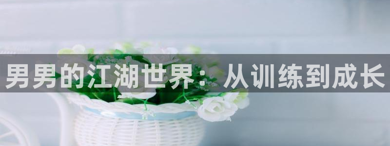 歪歪漫画sss入口免费：男男的江湖世界：从训练到成长