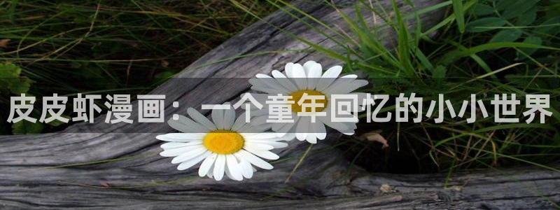 歪歪漫画sss在线观看免费