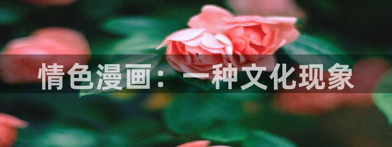 歪歪漫画首