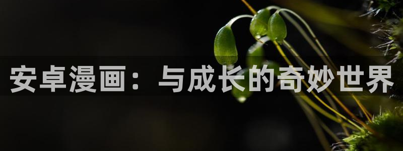 歪歪漫画大全首页