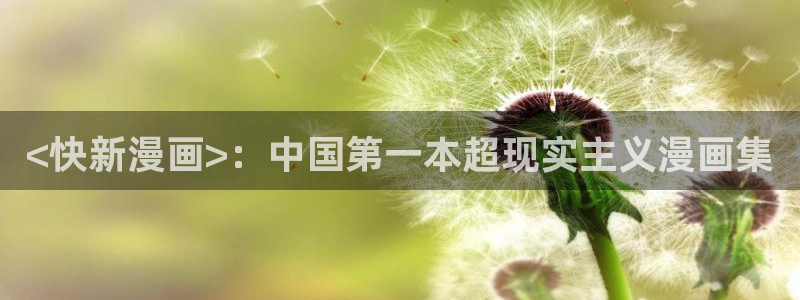 歪歪漫画网站免费在线