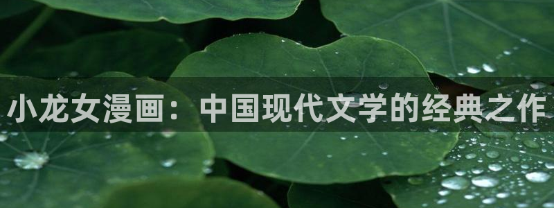 黄歪歪漫画：小龙女漫画：中国现代文学的经典之作