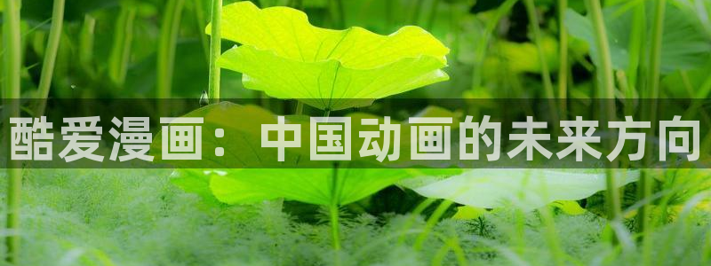 妹妹的义务歪歪漫画：酷爱漫画：中国动画的未来方向