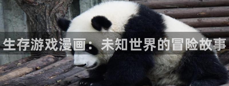 歪歪漫画在线sss：生存游戏漫画：未知世界的冒险故事