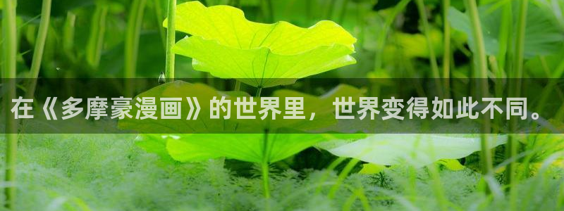 歪歪漫画汗：在《多摩豪漫画》的世界里，世界变得如此不同。