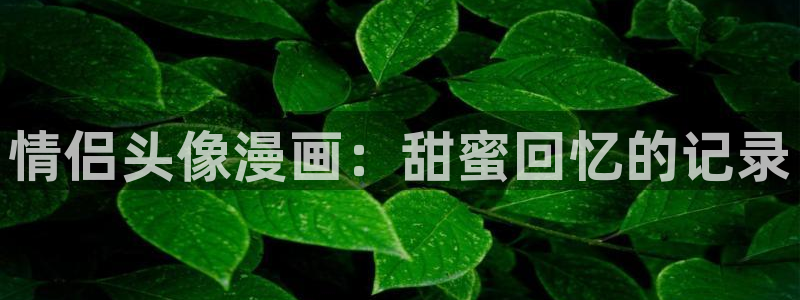 歪歪漫画ssss：情侣头像漫画：甜蜜回忆的记录