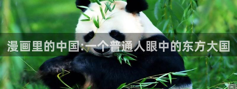 歪歪漫画在线阅读免费版在线：漫画里的中国:一个普通人眼中的东方大国