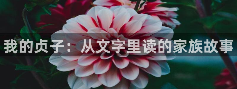 妖气网之歪歪漫画：我的贞子：从文字里读的家族故事