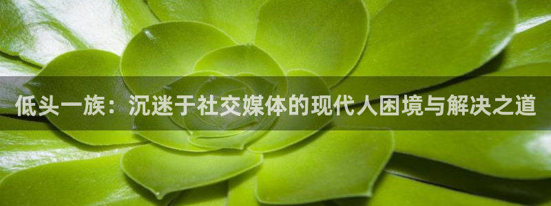 歪歪漫画观看免费入口：低头一族：沉迷于社交媒体的现代人困境与解决之道