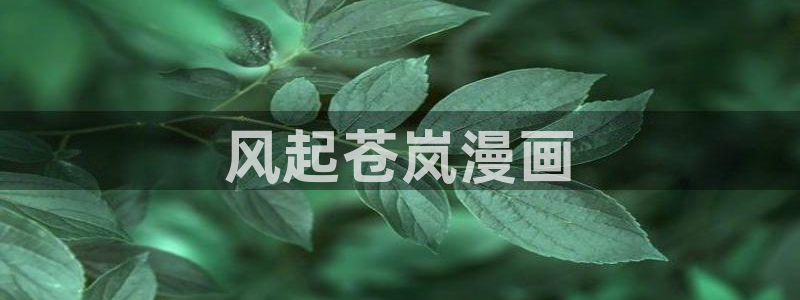 歪歪漫画免费阅读看：风起苍岚漫画