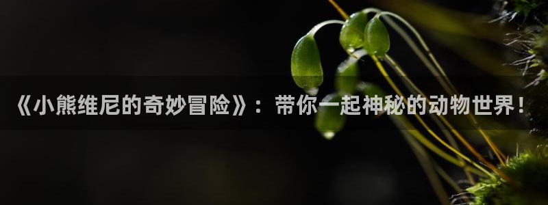 91歪歪漫画在线看：《小熊维尼的奇妙冒险》：带你一起神秘的动物世界！